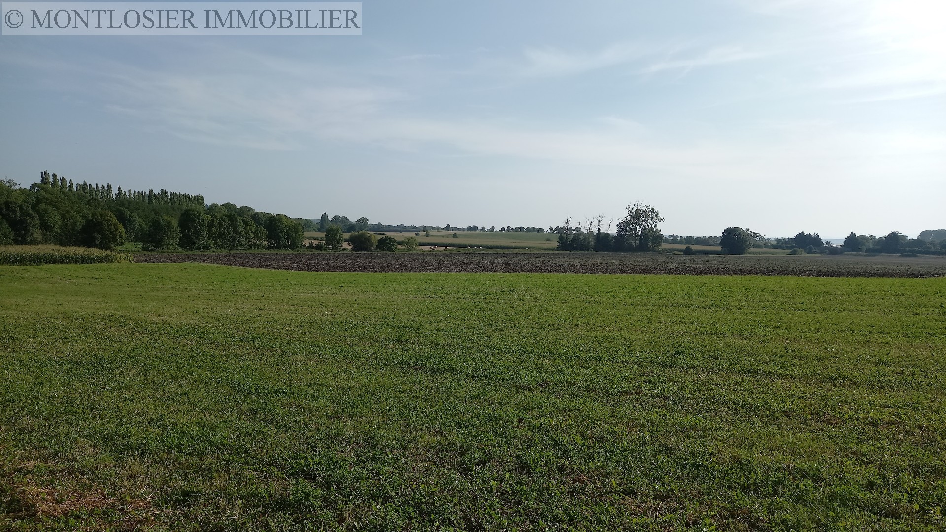 Terrain à vendre, AIGUEPERSE,  sur un terrain de 6081 m²